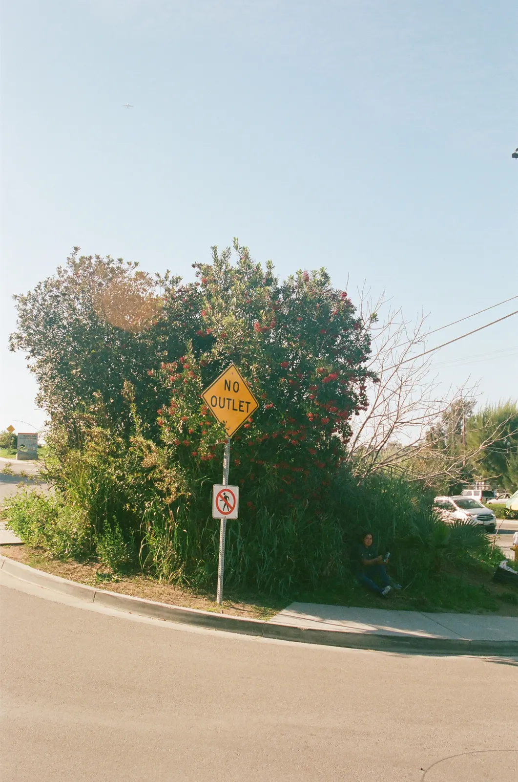 1f81b4bd-000132190028.jpg