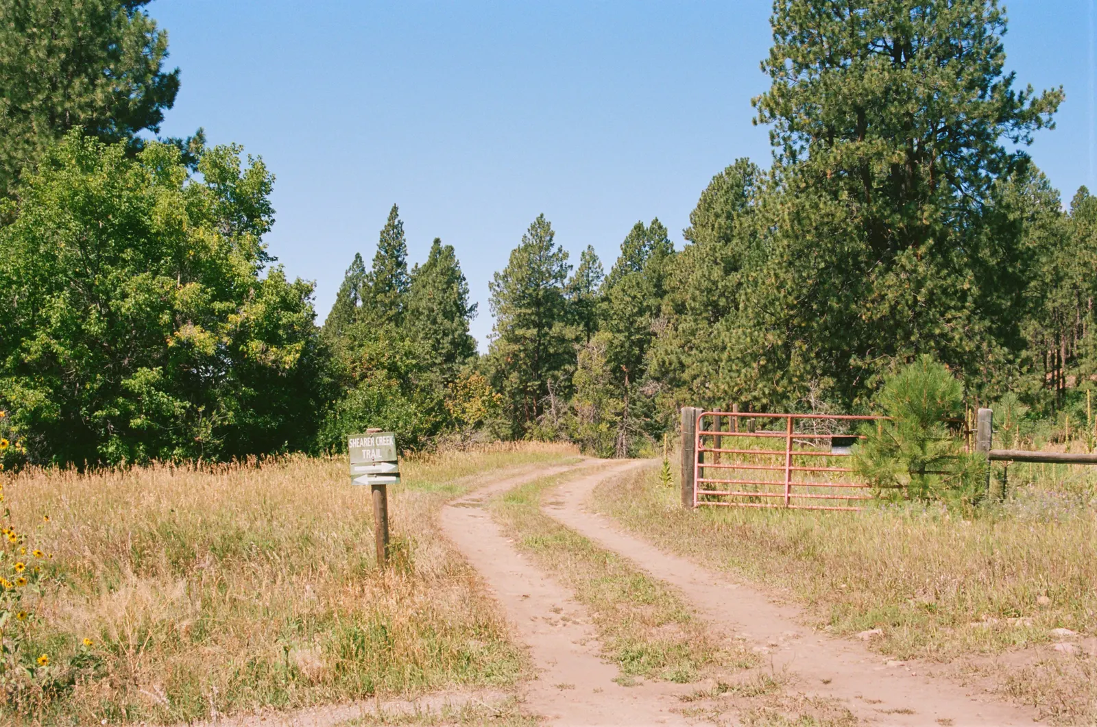 3cd89d53-000164750013.jpg