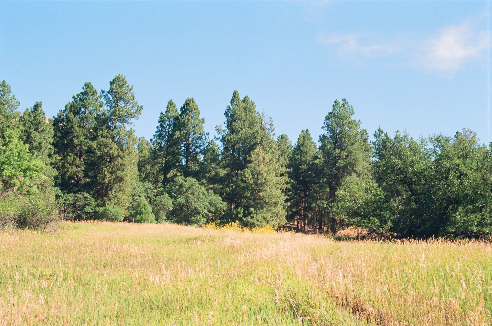 4d91050b-000164770024.jpg