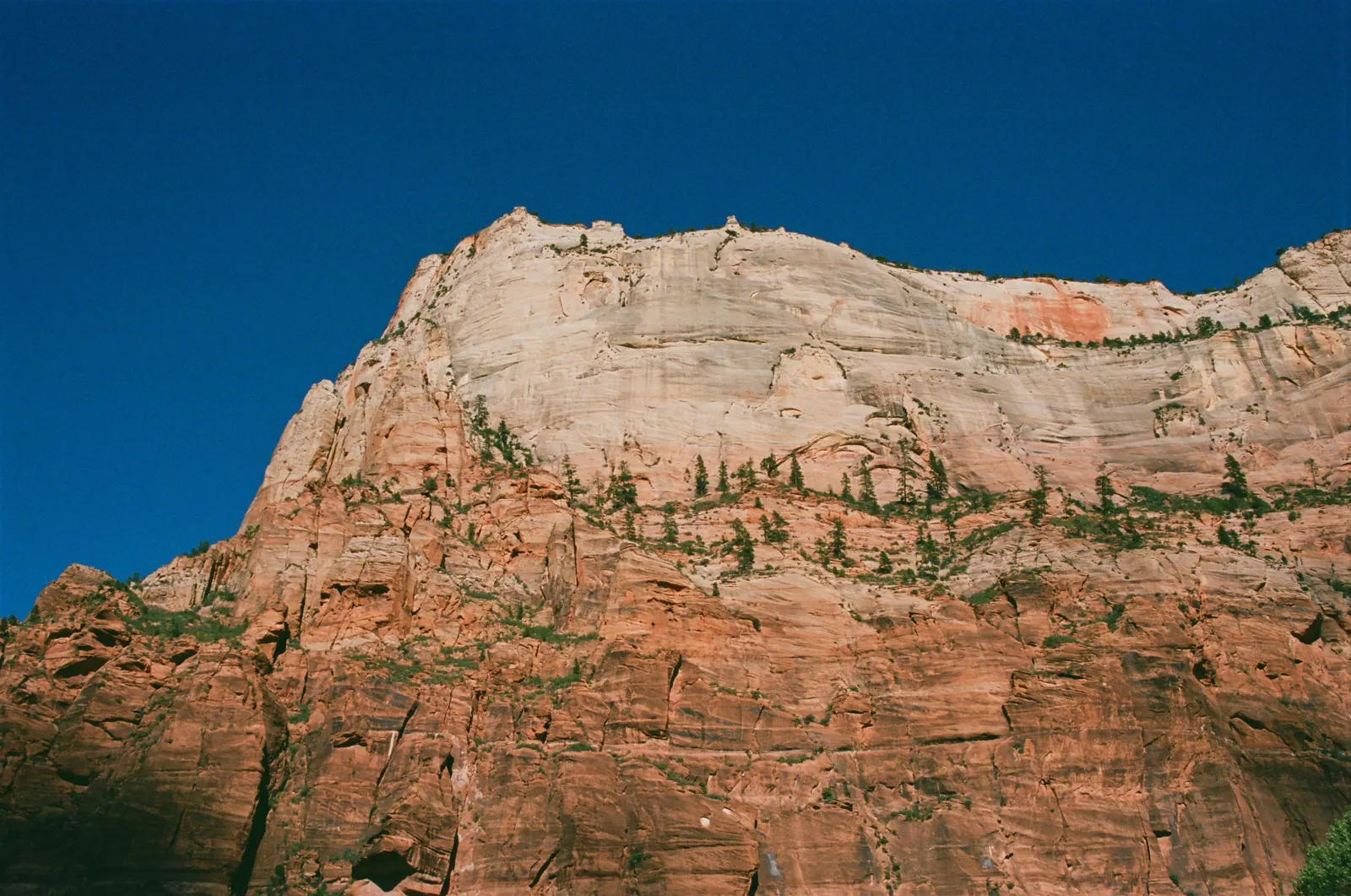 5f9fd8a3-000164790012.jpg