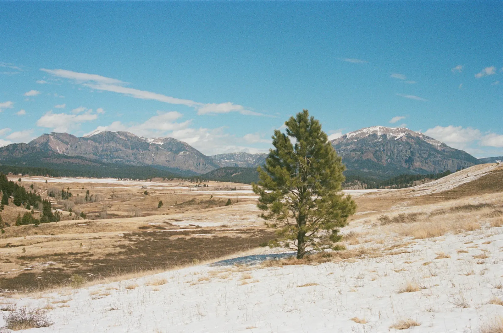 61b29d25-000481800005.jpg