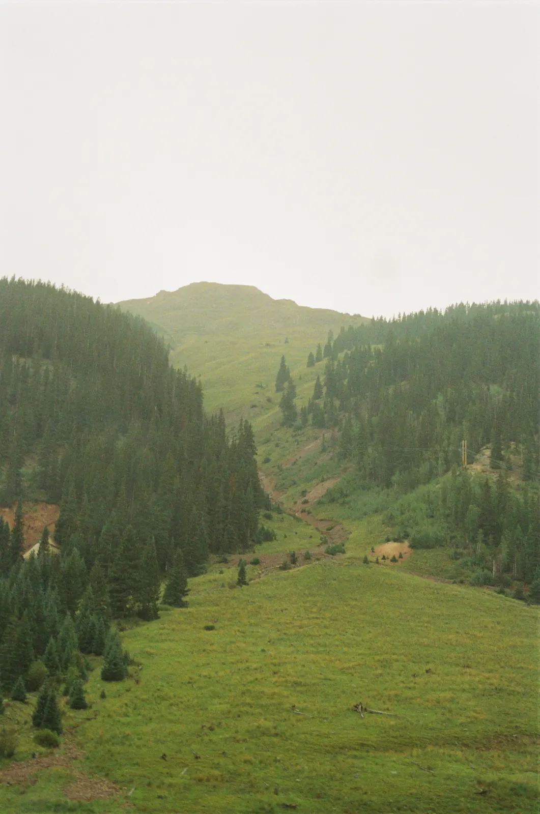 6fd79210-000164770005.jpg