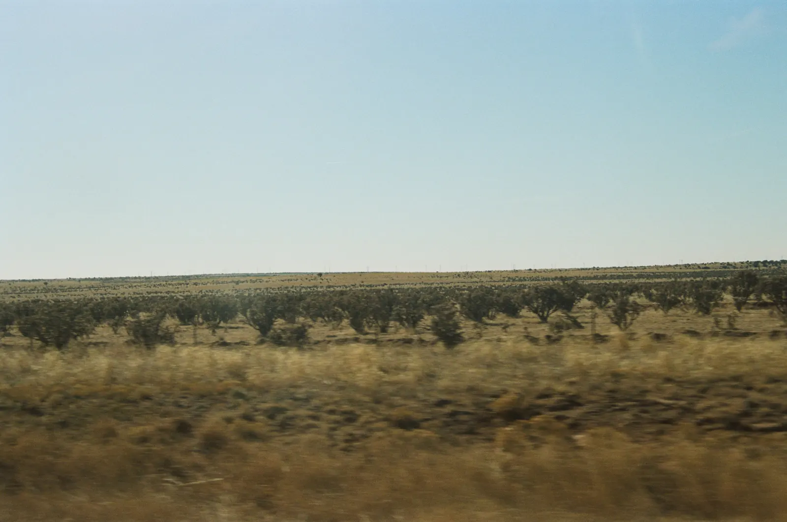 8014236b-000481780029.jpg