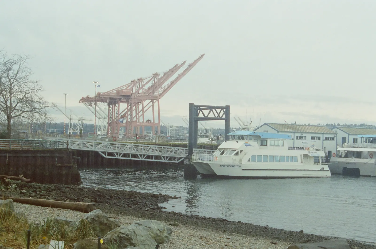 a59fa69b-000132180007.jpg