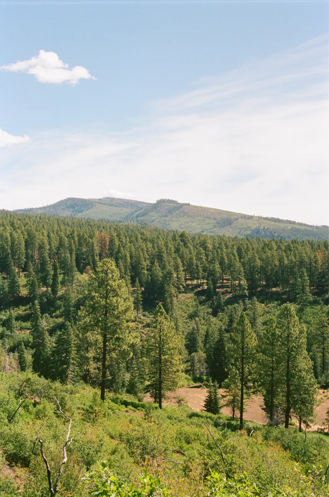 ba61bc1d-000164750004.jpg