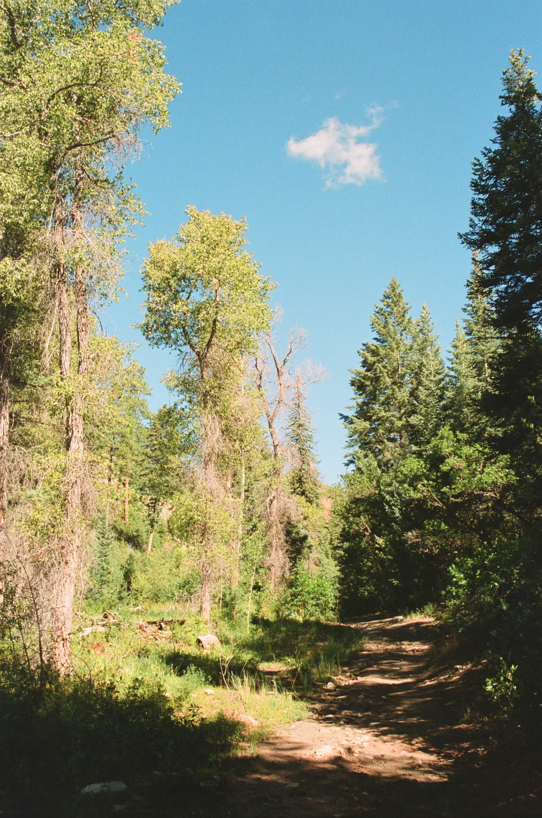 c22eefd5-000164770033.jpg
