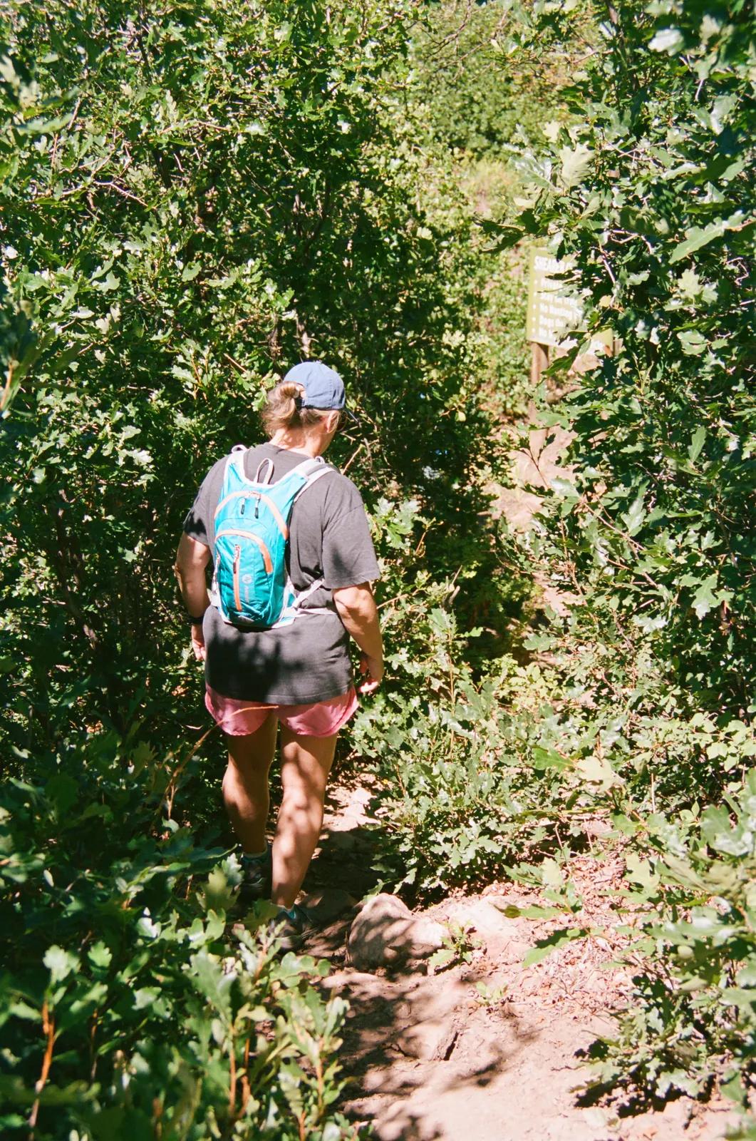 c5aca542-000164750009.jpg
