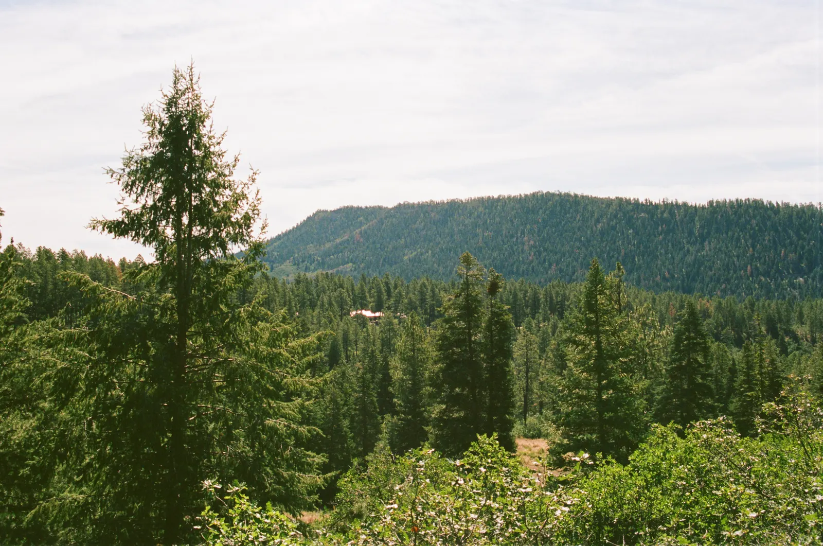ca77f85e-000164750002.jpg