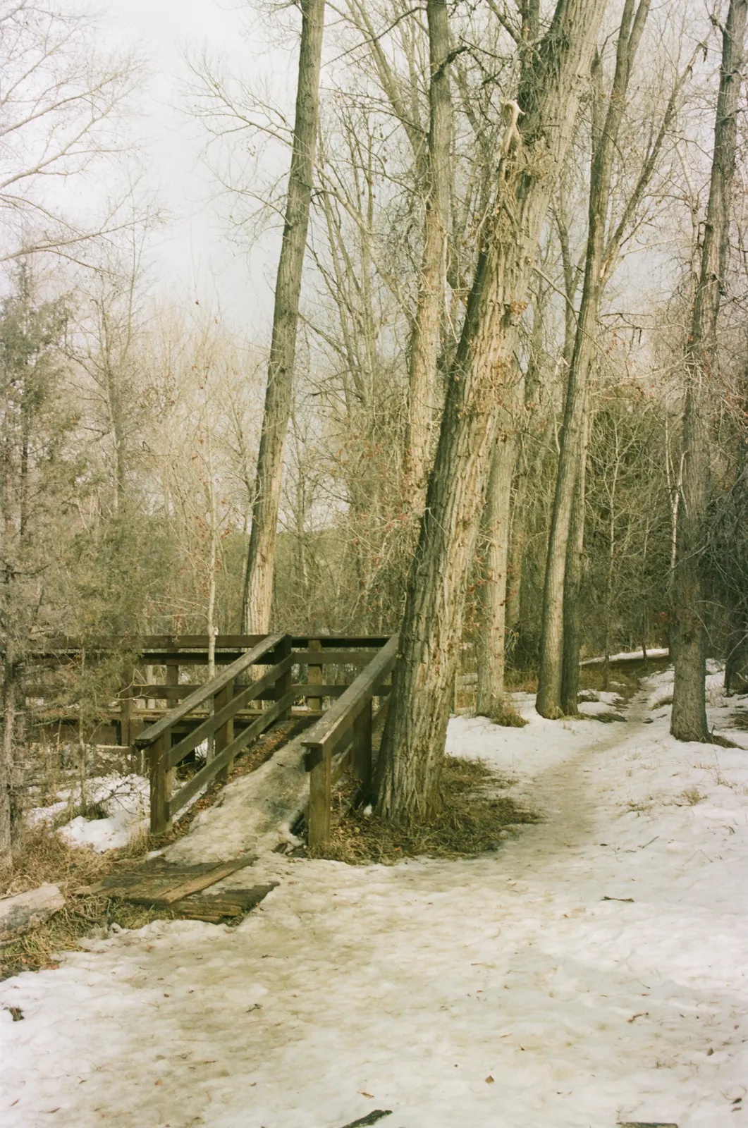 cce4e9f2-000481770016.jpg