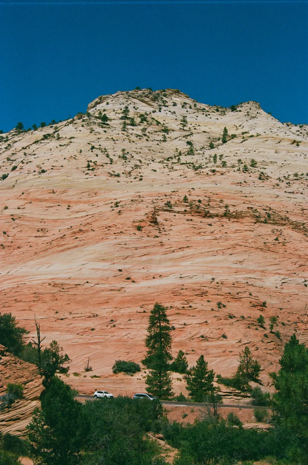 e6df79d4-000164820009.jpg