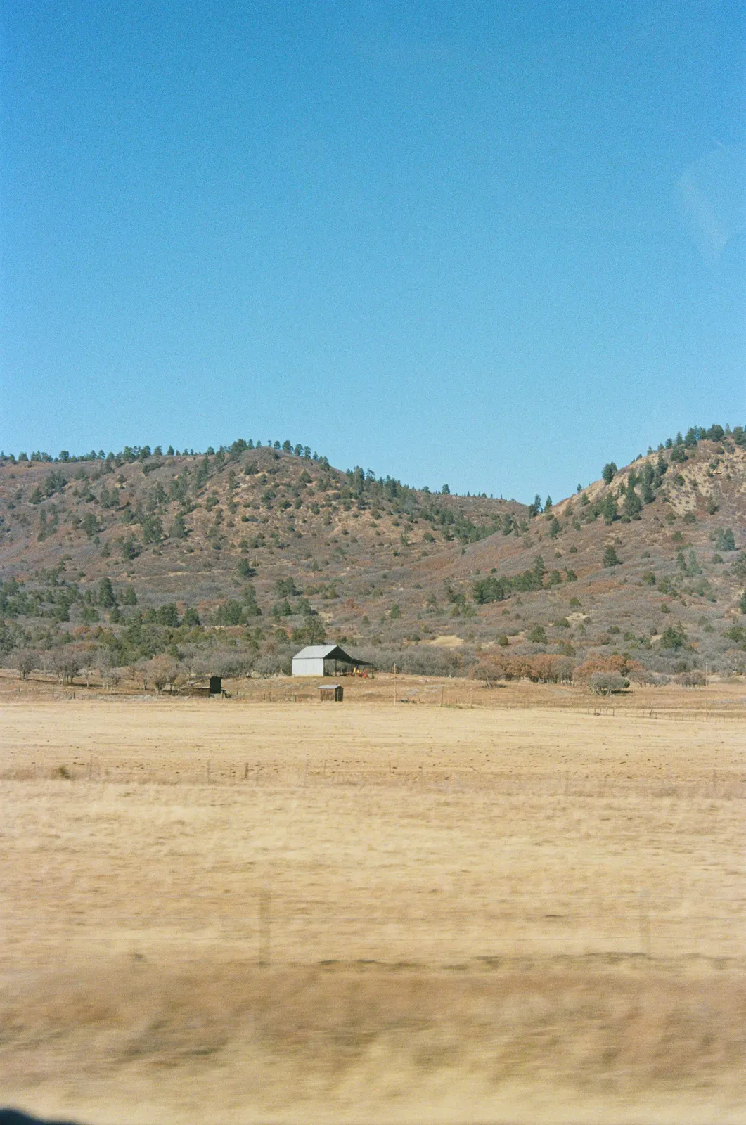 f2e36373-000481820027.jpg