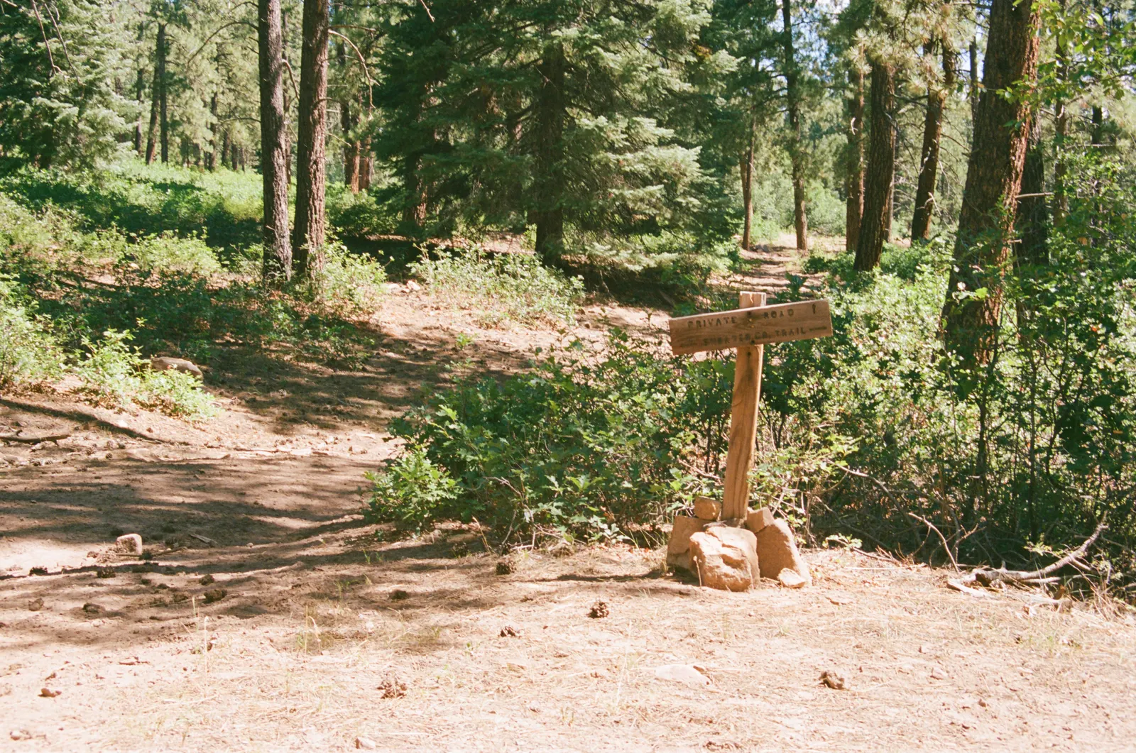 f2ebd34a-000164750011.jpg